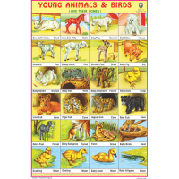 Young Animals & Birds Chart Paper (24 x 36 CMS)