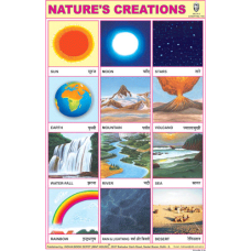 Nature's Creations Chart Paper (24 x 36 CMS)