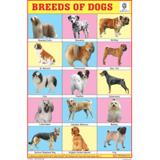 Breeds of Dogs Chart Paper (24 x 36 CMS)
