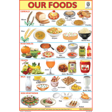 Our Foods Chart Paper (24 x 36 CMS)
