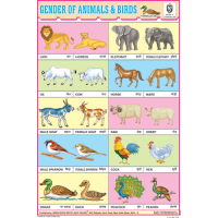Gender of Animals & Birds Chart Paper (24 x 36 CMS)