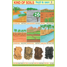 Kind of Soils Chart Paper (24 x 36 CMS)