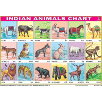 Indian Animals Chart Paper (24 x 36 CMS)