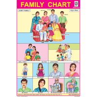 Family Chart Paper (24 x 36 CMS)