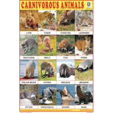 Carnivorous Animals Chart Paper (24 x 36 CMS)