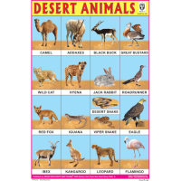 Desert Animals Chart Paper (24 x 36 CMS)