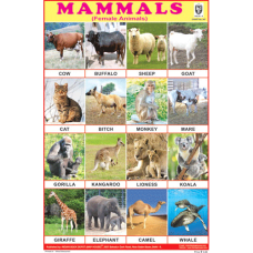 Mammals Chart Paper (24 x 36 CMS)
