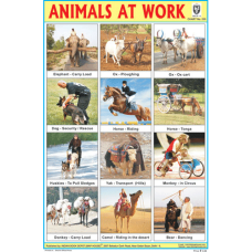 Animals At Work Chart Paper (24 x 36 CMS)