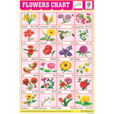 Flowers Chart Paper 24 Photos (Red)