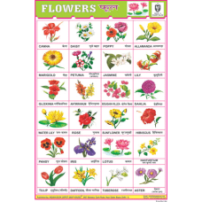 Flowers Chart Paper 24 Photos (White) (24 x 36 CMS)