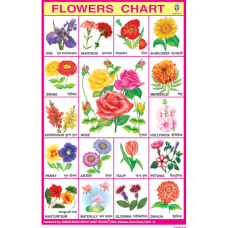 Flowers Chart Paper (24 x 36 CMS)