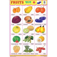 Fruits Chart Paper - No.2 (24 x 36 CMS)