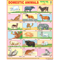 Domestic Animals Chart Paper (24 x 36 CMS)
