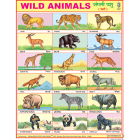 Wild Animals Chart Paper (24 x 36 CMS)