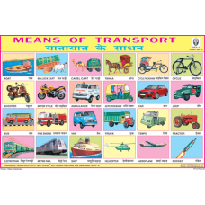 Means of Transport (24 Photos) Chart Paper (24 x 36 CMS)