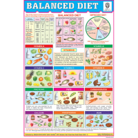 Balanced Diet Chart Paper (24 x 36 CMS)