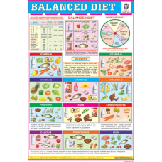 Balanced Diet Chart Paper (24 x 36 CMS)