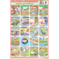 Pollution & Environment Chart Paper (24 x 36 CMS)