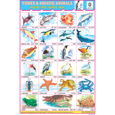 Fishes & Aquatic Animals Chart Paper (24 x 36 CMS)
