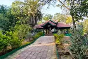 The lush green canopy of Victoria Park in Bhavnagar, a peaceful urban nature highlight featured on our 3-day Gujarat tour package.
