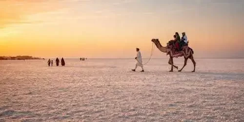 gujarat-tours-by-days