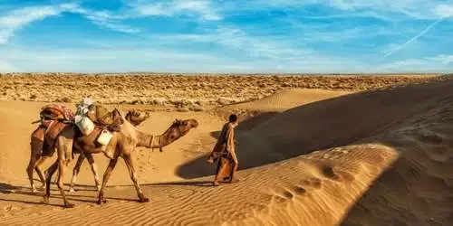 Explore Rajasthan Day Trips