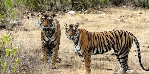 Explore Rajasthan Tours by Days